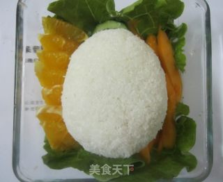 狗狗便当的做法步骤：11