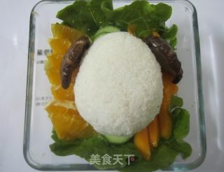 狗狗便当的做法步骤：12