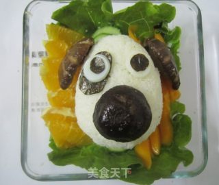 狗狗便当的做法步骤：14