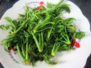 香椿鱼儿的做法步骤：2