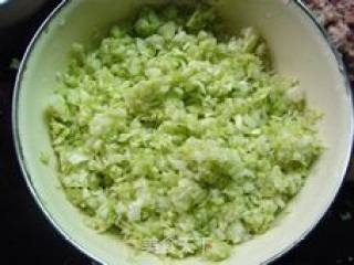 圆白菜鲜肉紫菜水饺的做法步骤：4