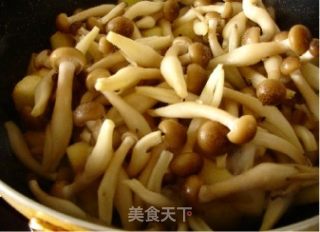 蟹味菇烧毛瓜的做法步骤：4