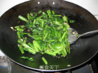豆豉炒苦麦菜的做法步骤：6