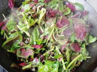 蒜蓉炒苋菜的做法步骤：5