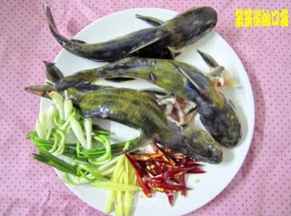 红烧昂刺鱼的做法步骤：1