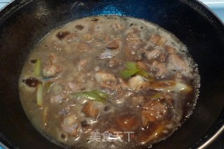 红烧牛肉的做法步骤：9