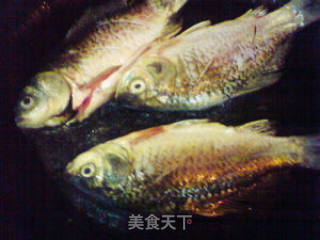 红烧鲫鱼的做法步骤：4