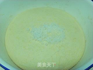 纯碱茴香花卷的做法步骤：4