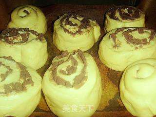 全麦豆沙卷排包的做法步骤：11