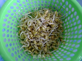 尖椒炒豆芽的做法步骤：2