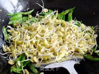 尖椒炒豆芽的做法步骤：6