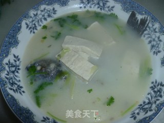 奶汤鲫鱼的做法步骤：5