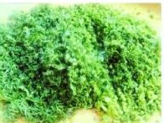 茴香陷饺子的做法步骤：7
