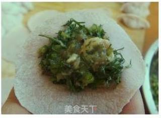 茴香陷饺子的做法步骤：13