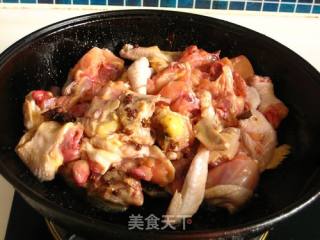【飞禽走兽】----三黄鸡炖野兔的做法步骤：4