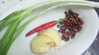 【飞禽走肉】之【椒盐鸡肉】的做法步骤：4
