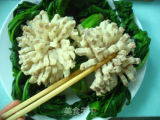 【飞禽走兽篇】丑小鸭变白天鹅的过程【菊花肉】的做法步骤：7
