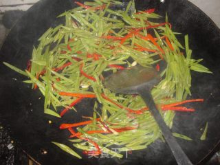 【飞禽走兽】翠枝炒肉丝的做法步骤：5