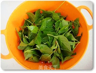 新鲜手工罗勒酱的做法步骤：2