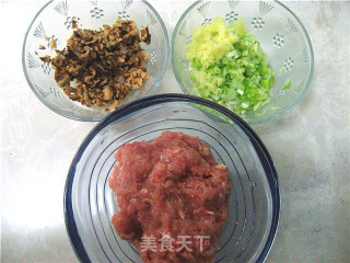 [飞禽走兽]--剁椒鸡肉卷的做法步骤：6