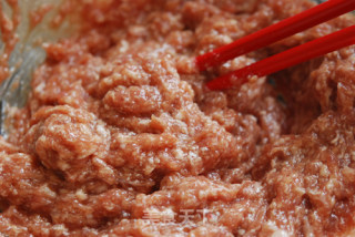 北京城最民间的肉饼做法的做法步骤：3