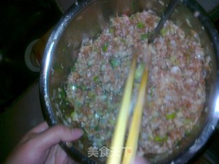 正宗东北包子（猪肉大葱味）的做法步骤：6