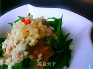 拌扫帚菜的做法步骤：4