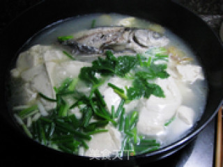 豆腐鱼汤的做法步骤：8