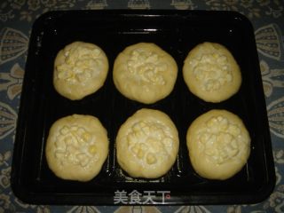 玉米沙拉面包的做法步骤：5