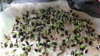 黑豆芽苗菜的做法步骤：3