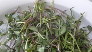 黑豆芽苗菜的做法步骤：7