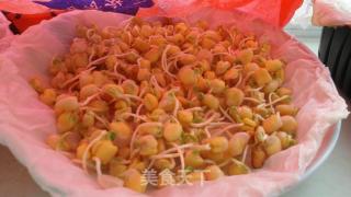 松柳芽苗菜的做法步骤：3