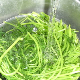 【夏日小凉菜】蒜蓉茼蒿的做法步骤：2