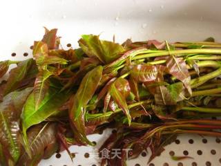 香椿芽拌豆腐的做法步骤：1