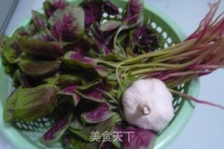 蒜香红苋菜的做法步骤：1