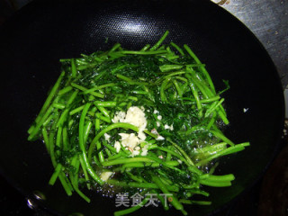 蒜蓉蒿子秆的做法步骤：6