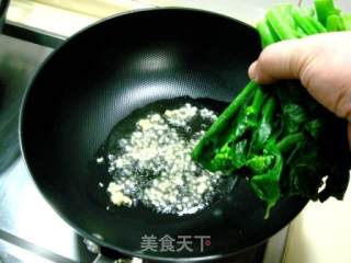 蒜蓉炒芥兰的做法步骤：5