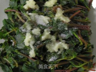 【夏日小凉菜】凉拌马齿苋的做法步骤：6