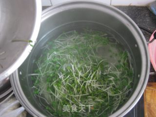 【夏日小凉菜】---凉拌萝卜苗的做法步骤：3