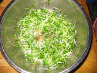 【夏日小凉菜】---凉拌萝卜苗的做法步骤：4
