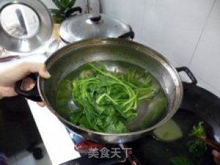 凉拌菠菜粉丝的做法步骤：4