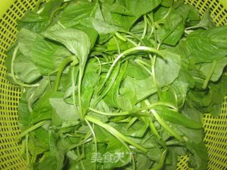 【夏日小凉菜】蒜泥苋菜的做法步骤：1