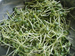[夏日小凉菜]－－蒜蓉黑豆芽的做法步骤：1