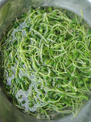 [夏日小凉菜]－－蒜蓉黑豆芽的做法步骤：4