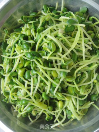[夏日小凉菜]－－蒜蓉黑豆芽的做法步骤：5