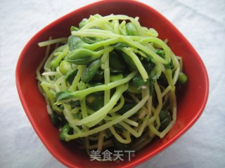 [夏日小凉菜]－－蒜蓉黑豆芽的做法步骤：9