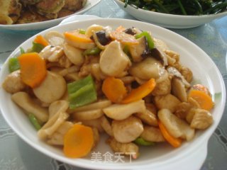 鸡丁孜然杏鲍菇的做法步骤：4