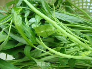 腐乳炒通菜的做法步骤：1