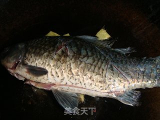 鲫鱼萝卜汤的做法步骤：4