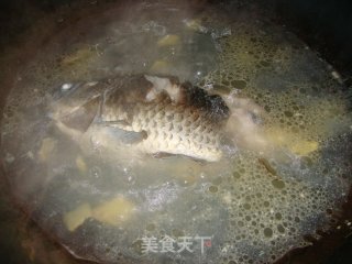 鲫鱼萝卜汤的做法步骤：5
